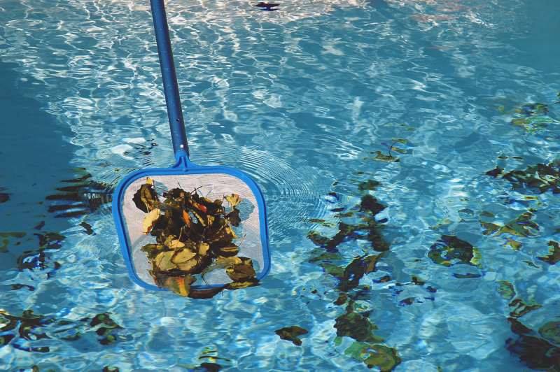 Scooping leaves from the pool